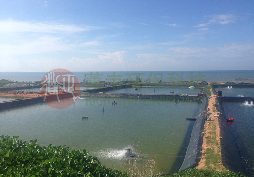 1605498243142585.jpg E8.jpg